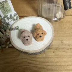羊毛フェルト　四つ足見上げトイプードルセット