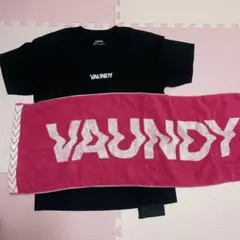 Vaundy ロゴ Tシャツ Mサイズ 黒 タオル ピンク 青ロゴのサムネイル
