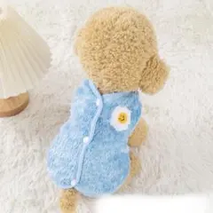 Item thumbnail for item 83f45178-99df-4021-8ec5-9f06d8123275