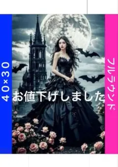 ダイヤモンドアートキットN-1107黒の城女性薔薇 ビーズ アート ハンドメイド