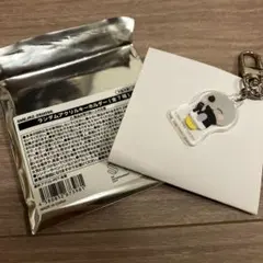 RIIZE ランダム アクリル キーホルダー ウンソク ソンヨンドリ