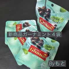 [ロッテガーナ]f季節限定ミント新商品4袋やさしいミントを味わうのサムネイル