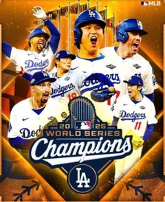 2025 WS champion 17種　★289 選択購入可能