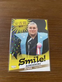 Item thumbnail for item f06c3984-2ce8-4b69-a686-1fc1fe4993ec