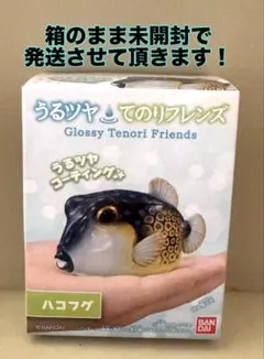うるツヤてのりフレンズ ハコフグ