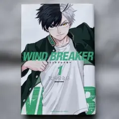 韓国版 wind breaker 店舗特典　ポスター①　桜遥 韓国版 wind breaker 店舗特典 ポスター① 桜遥 - メルカリ