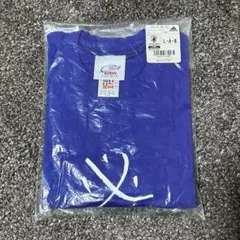 Item thumbnail for item 86a00519-513e-419c-8769-4e8d44d94c6e