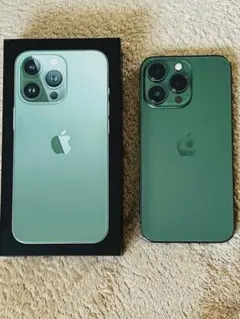 大容量SIMフリー】iPhone 13 Pro 1TB アルパイングリーン - メルカリ
