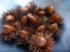 kinokino様 リクエスト 3点 まとめ商品