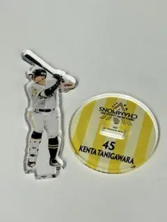 ホークスシークレットアクリルスタンド45谷川原健太