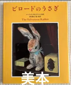 ◾️ビロードのうさぎ 酒井駒子◾️