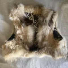 AIC ファーベスト