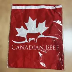 Item thumbnail for item 4b5eb7aa-9c45-4136-ae40-ac594c14a032