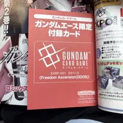 ガンダムエース 2026年 9月号 プロモ 付録 フリーダム本体には傷無し