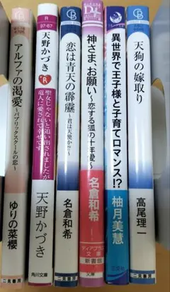 Hセット bl小説まとめ売り 6冊 - メルカリ