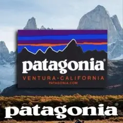 【official】Patagonia △ 防水ステッカー ①