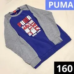 子供服 160cm PUMA プーマ 男女 男の子 女の子 青 赤 ラグラン