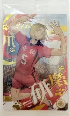 ハイキュー!! 孤爪研磨 ウエハース カード 箔押し レア