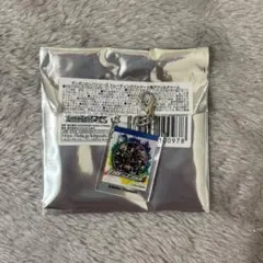 ダンガンロンパ トレーディングパッケージ風アクリルチャーム V3
