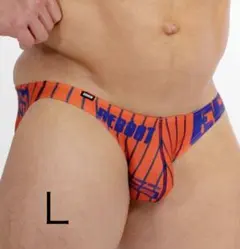 Item thumbnail for item 4db15e08-fc24-4f1a-8d9e-26bb097f5f8d