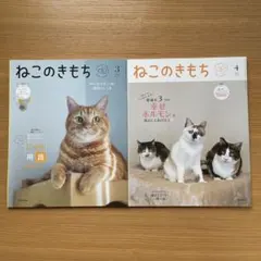 Item thumbnail for item 47a793fa-2c90-4db2-ac8b-18b74d1b4848