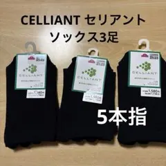 セリアント　5本指ソックス　3足のサムネイル