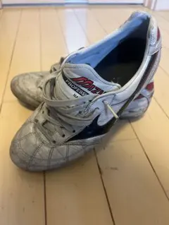 ナ*ト様 モレリア MIZUNO モレリア2JAPAN 24.5cm