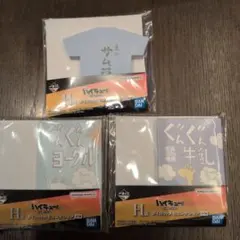 ハイキュー!! 이치방쿠지 H賞 ダイカットメモコレクション 3種