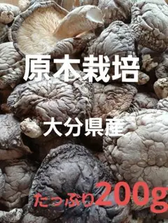 Item thumbnail for item e9cb7528-bd84-4c84-bb8c-68be3da91943