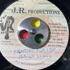 4249 レゲエ レコード 7インチ GENERAL riddim