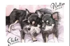 Item thumbnail for item 2429ed03-2c26-4780-bf90-6e13690721d9