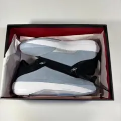 値段交渉可 美古品 Air Jordan 40 PF エアジョーダン40 - メルカリ