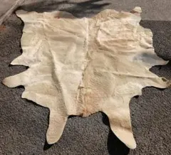 2026年最新】牛革ラグマットの人気アイテム - メルカリ