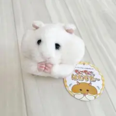 【新品タグ付き】 もごもごはむすた～ ほわいとさん ぬいぐるみ ハムスター