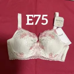 トリンプ　恋するブラ　E75