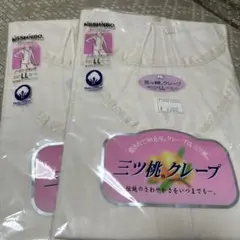 Item thumbnail for item c79a1054-36e2-4c20-bcf3-e797b57e69fb