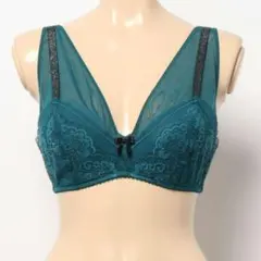 ア*ー様 [C65]トリンプ　ブラジャー　ネイビー　ワイヤー入り