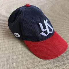 Item thumbnail for item e873f519-cb7f-49b4-a956-2ca7394f9be0