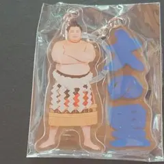 大相撲ガチャ めじるしチャーム 大の里