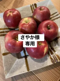 さやか様　専用