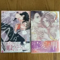 BL漫画 2冊セット まとめ売り