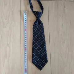 Item thumbnail for item 7db066ec-c06f-4762-b739-e983645af25b