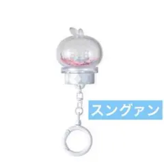 SEVENTEEN MINITEEN デコバンド スングァン プギュリ - メルカリ