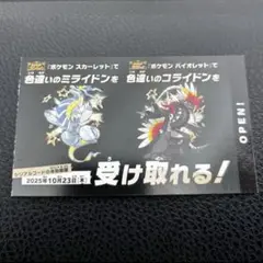 即発送　色違い　コライドン　ミライドン　1枚