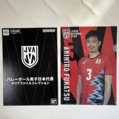 2026年最新】バレーボール男子日本代表 クリアファイルコレクションの