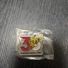 ポケモン 30周年 メタルチャームマスコット ピカチュウ