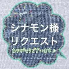 シナモン様 リクエスト 3点 まとめ商品