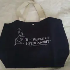 Item thumbnail for item 386b8509-c2da-4901-9837-336f65d7fac5