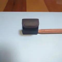 アンバサダー