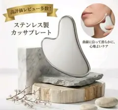 스테인리스 카사 플레이트